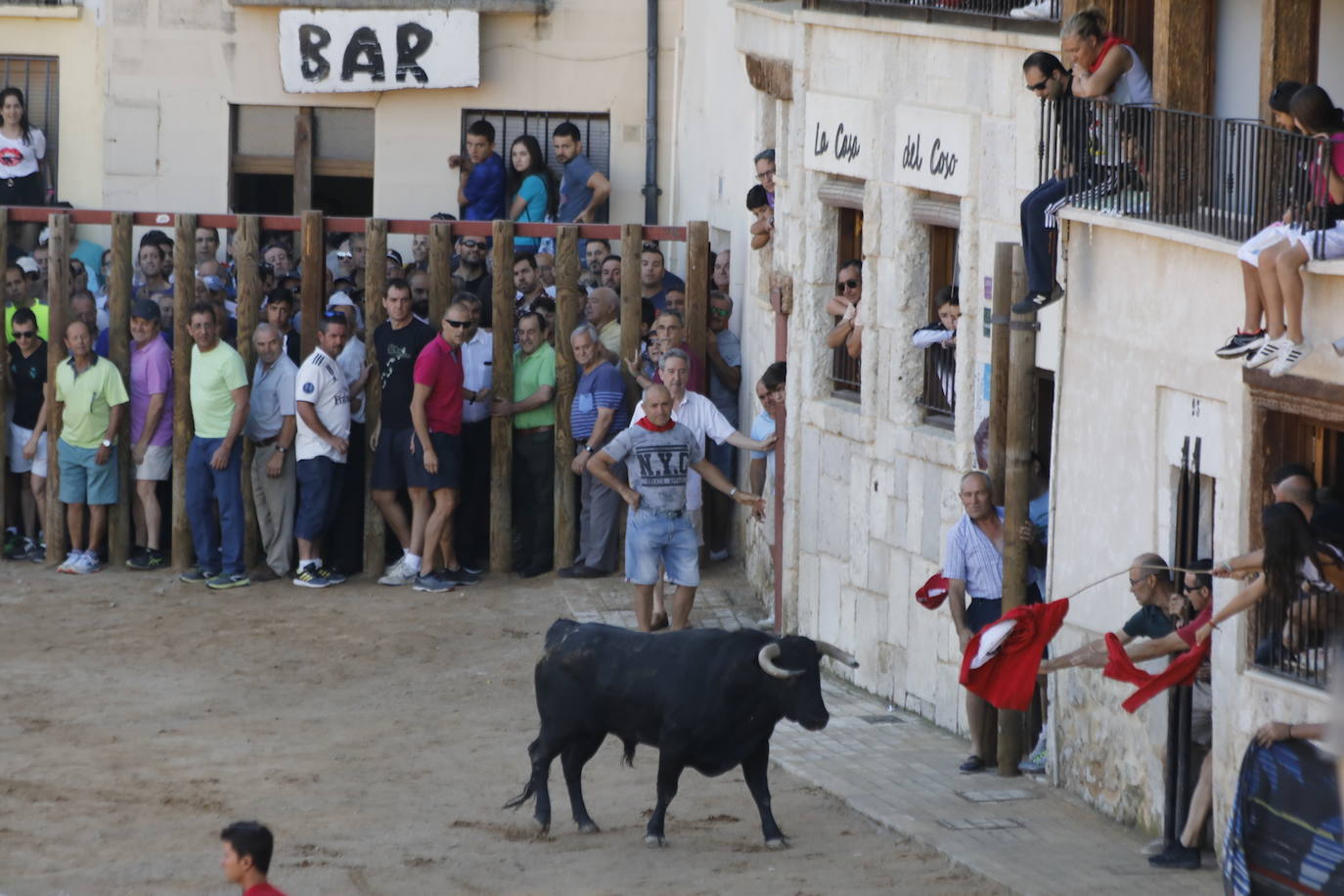 Fotos: Encierro y capea matutina del sábado en Peñafiel