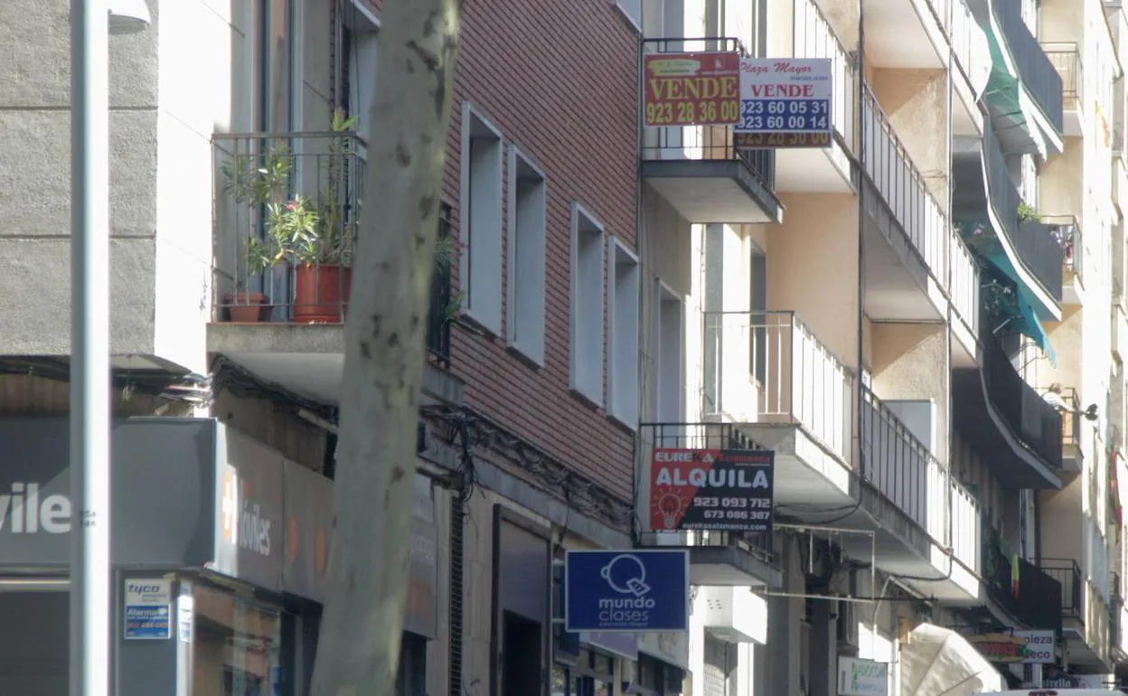 Carteles de alquiler de viviendas en Salamanca.