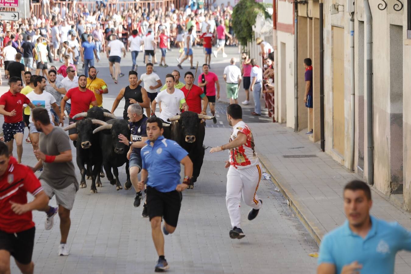 Fotos: Peñafiel despide cinco intensos días de fiestas patronales (2/2)