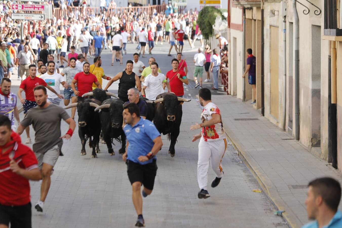 Fotos: Peñafiel despide cinco intensos días de fiestas patronales (2/2)