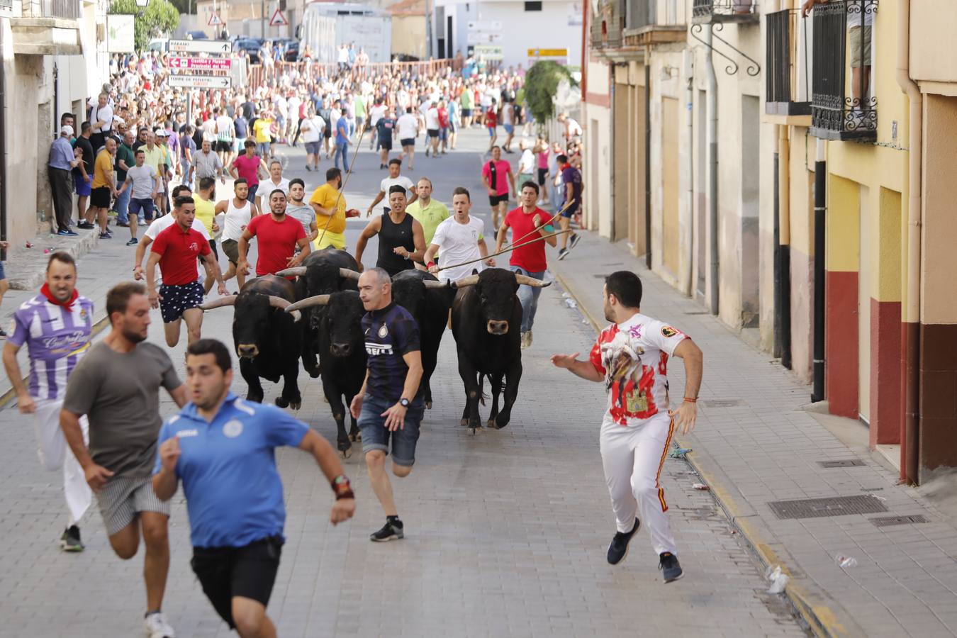 Fotos: Peñafiel despide cinco intensos días de fiestas patronales (2/2)