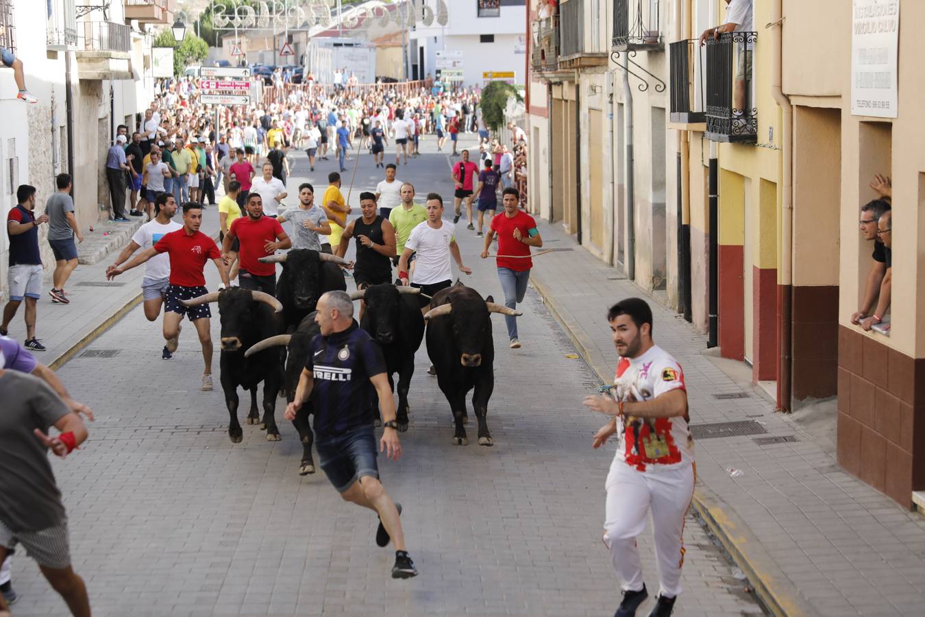 Fotos: Peñafiel despide cinco intensos días de fiestas patronales (2/2)