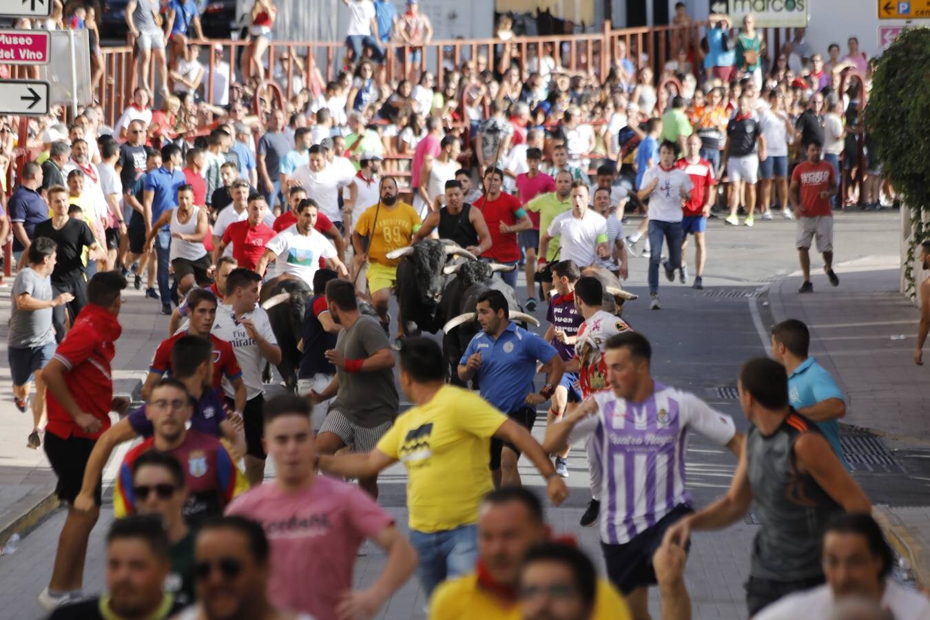 Fotos: Peñafiel despide cinco intensos días de fiestas patronales (2/2)