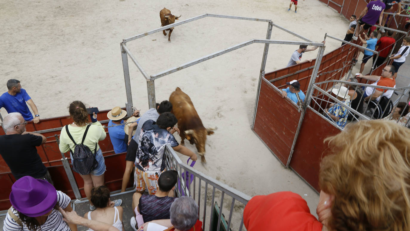 Fotos: Encierro en Aldemayor de San Martín