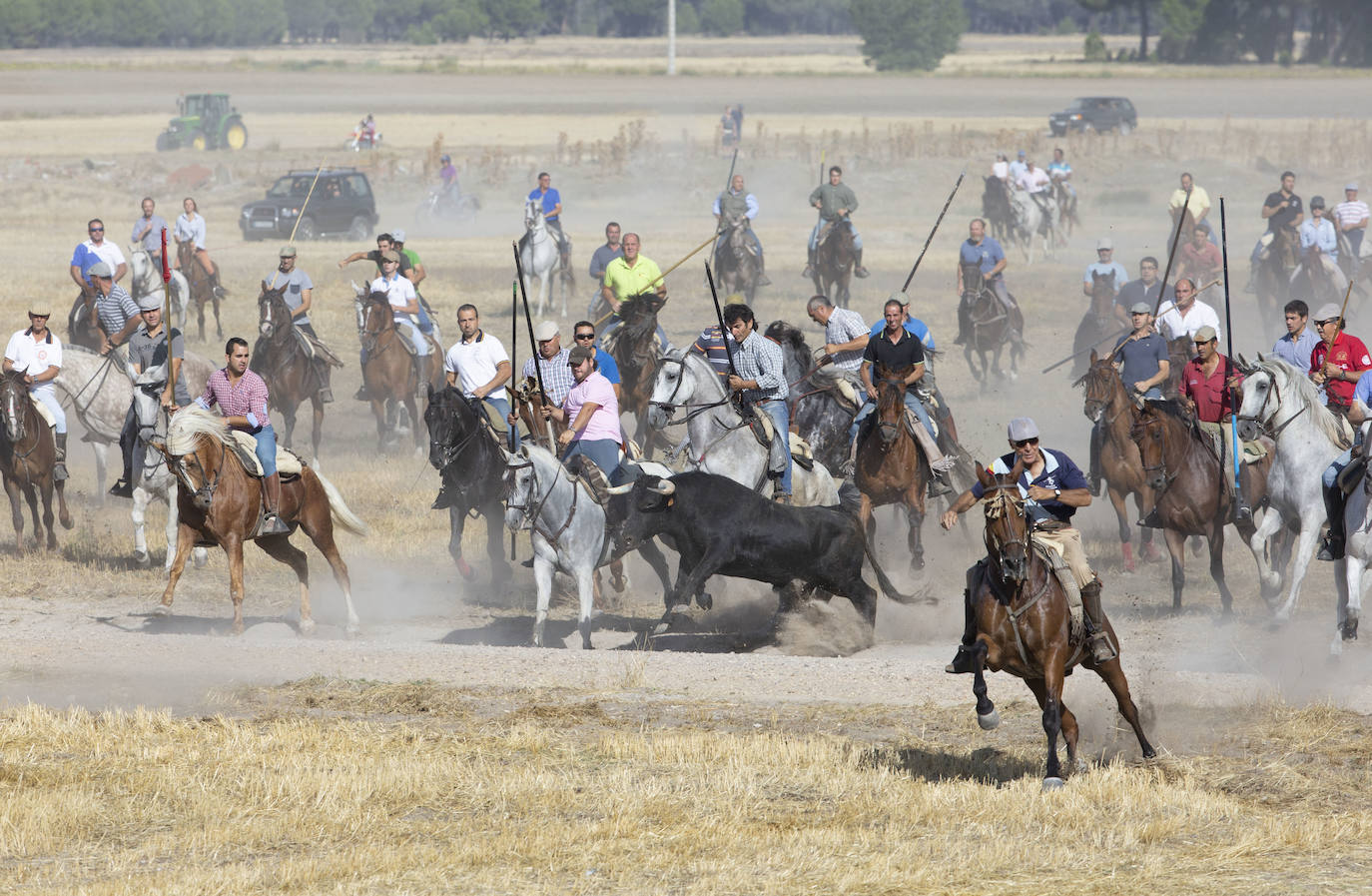 Fotos: Encierro en Aldemayor de San Martín