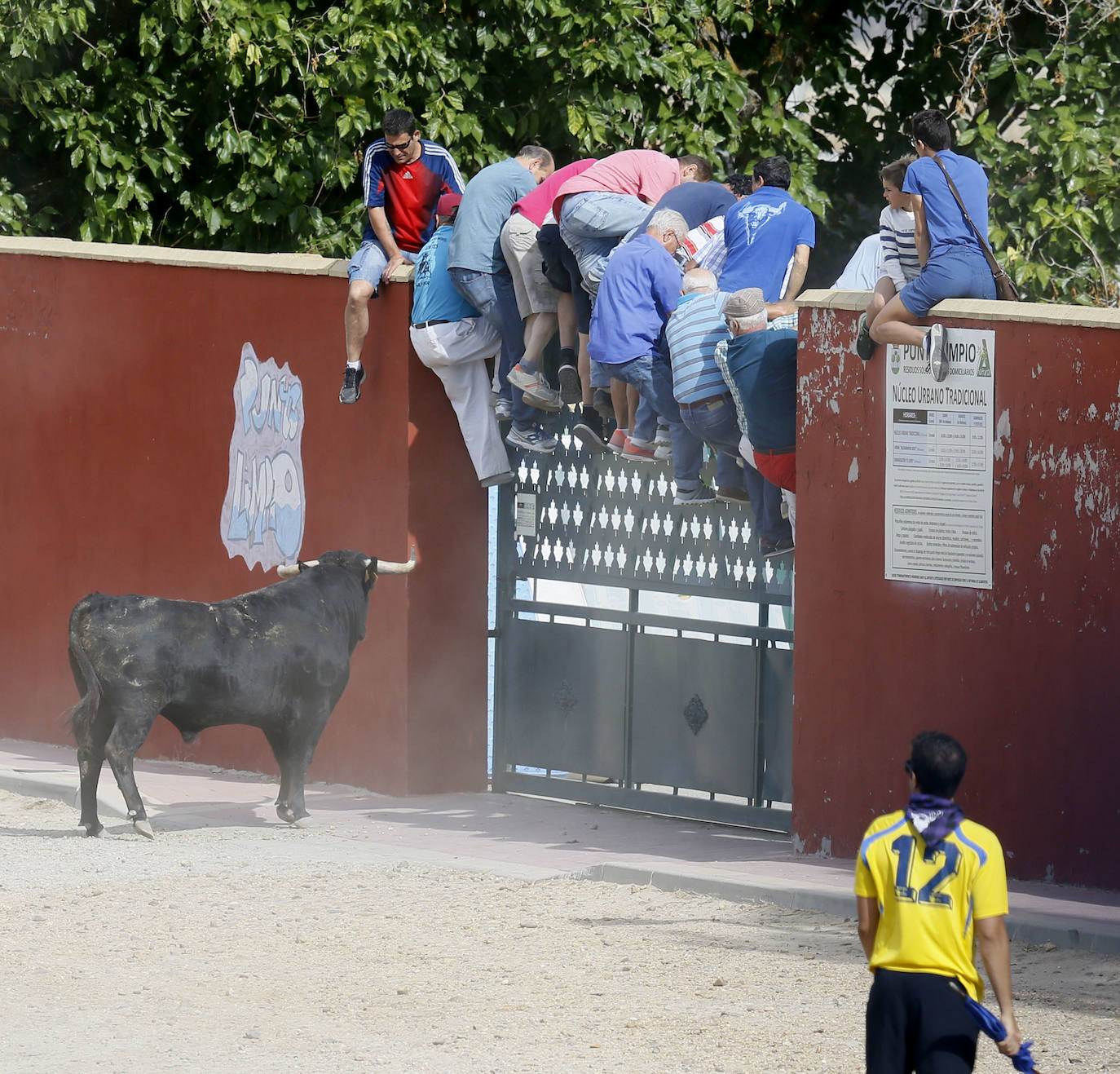 Fotos: Encierro en Aldemayor de San Martín