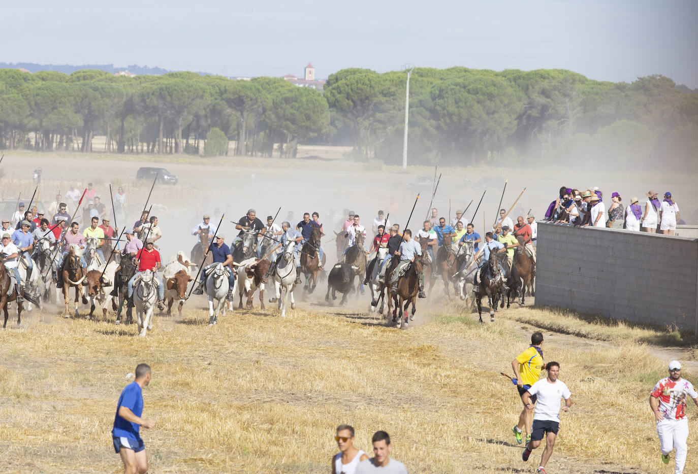 Fotos: Encierro en Aldemayor de San Martín