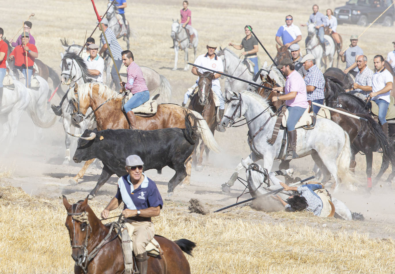 Fotos: Encierro en Aldemayor de San Martín