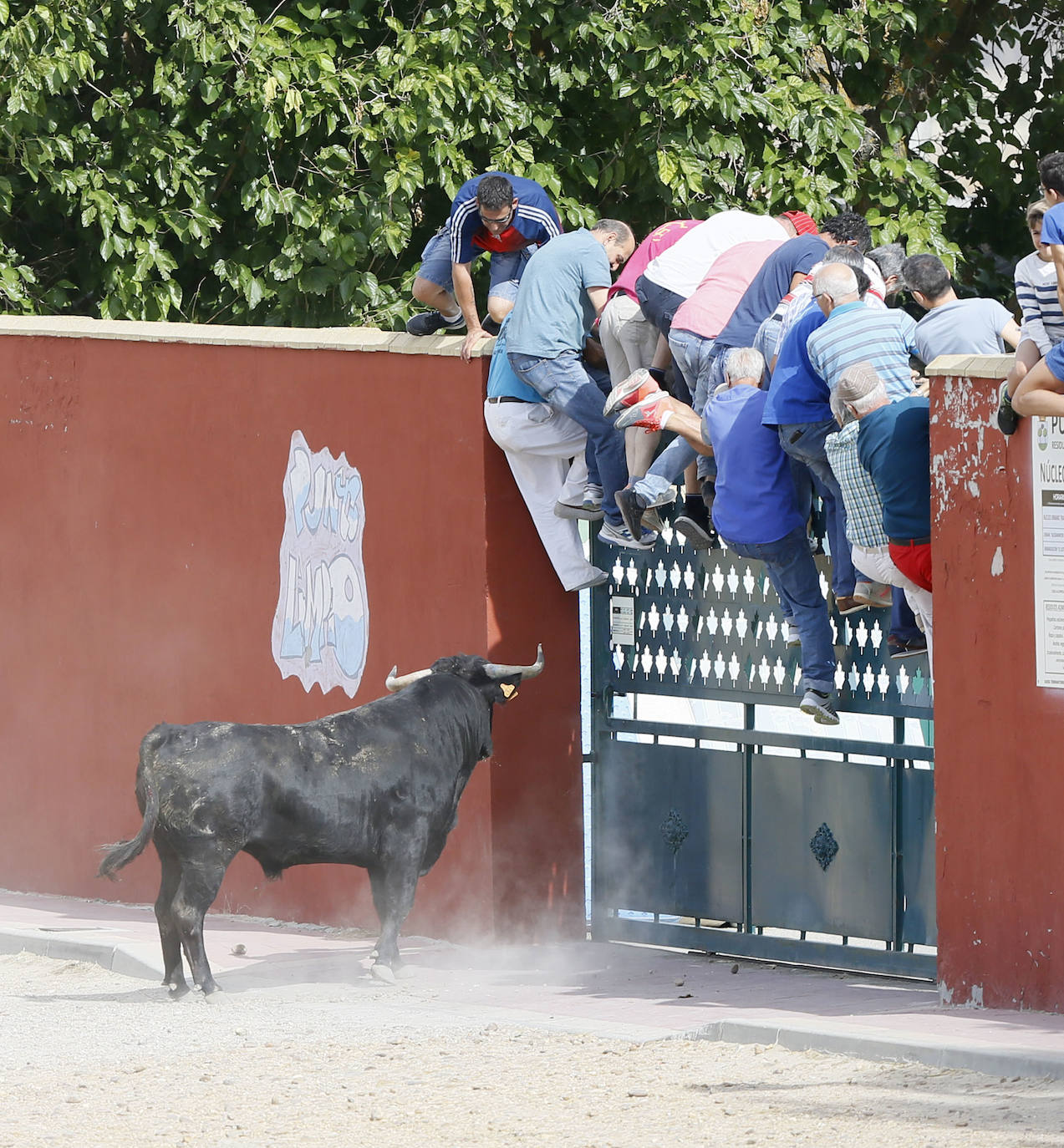 Fotos: Encierro en Aldemayor de San Martín