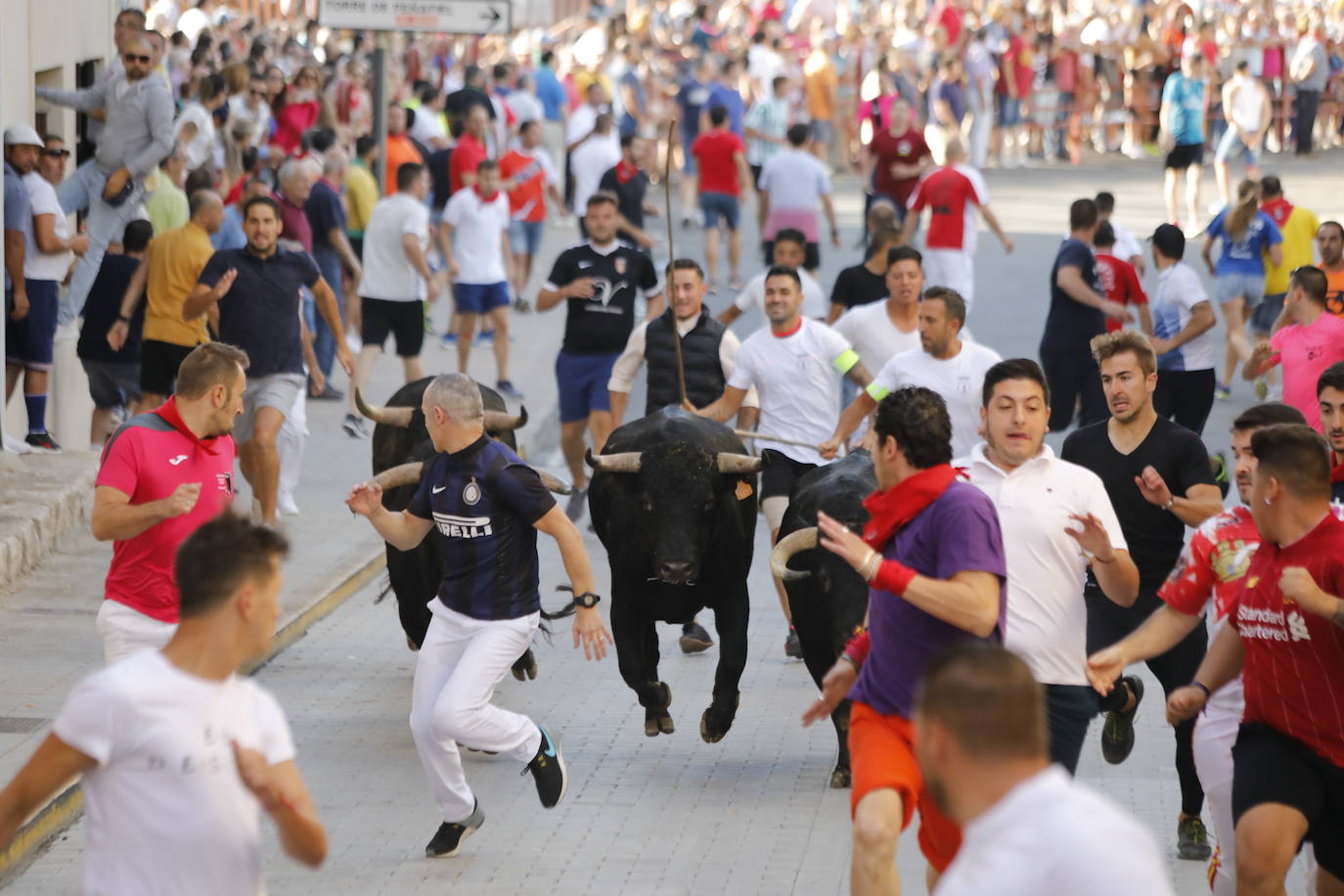 Fotos: Encierro y capea del domingo en Peñafiel