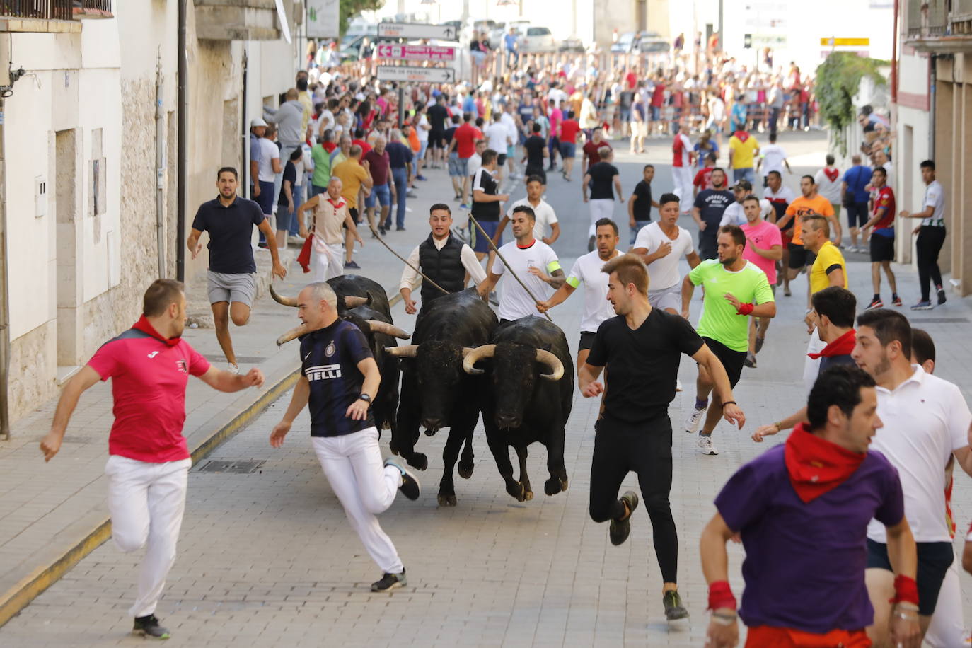 Fotos: Encierro y capea del domingo en Peñafiel