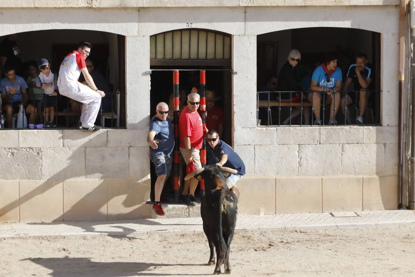 Fotos: Encierro y capea del domingo en Peñafiel