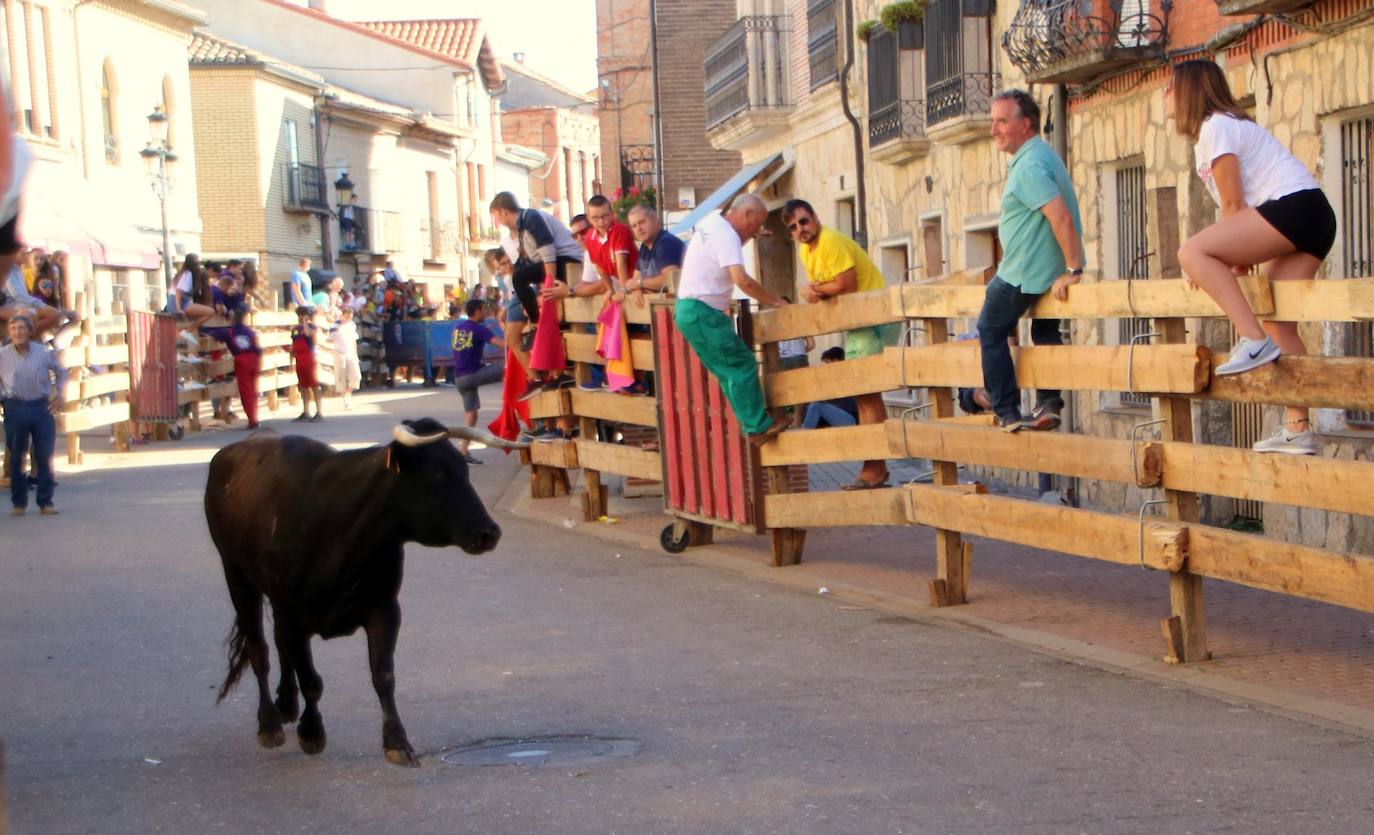 Fotos: Encierro en Torquemada