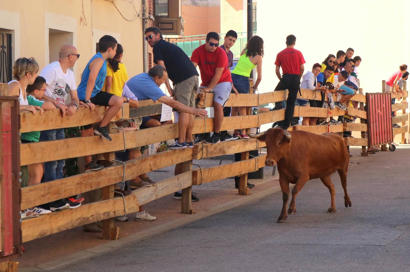 Fotos: Encierro en Torquemada