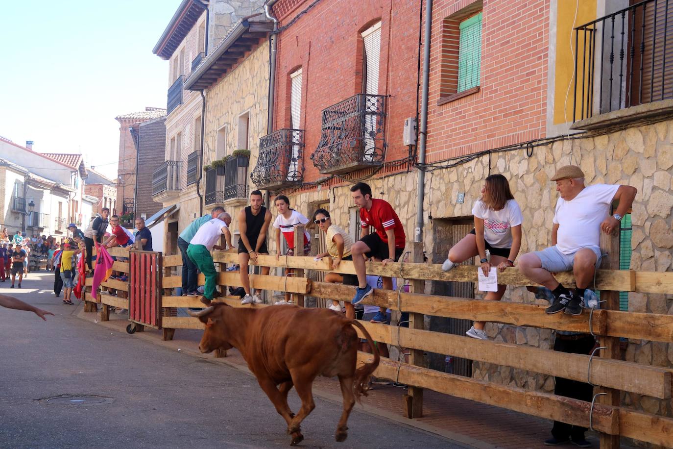 Fotos: Encierro en Torquemada