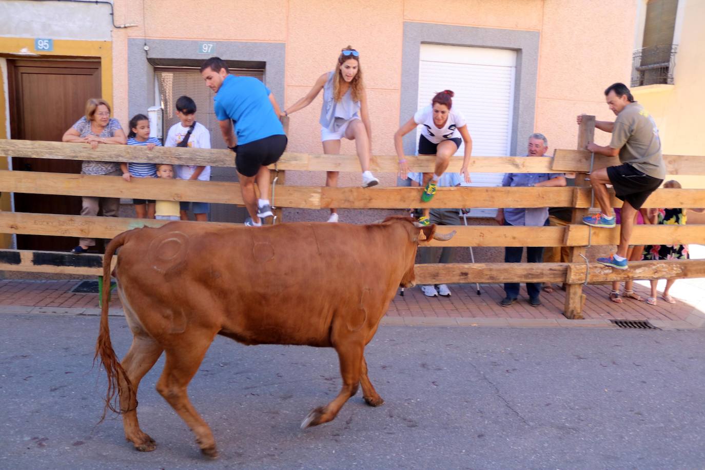 Fotos: Encierro en Torquemada