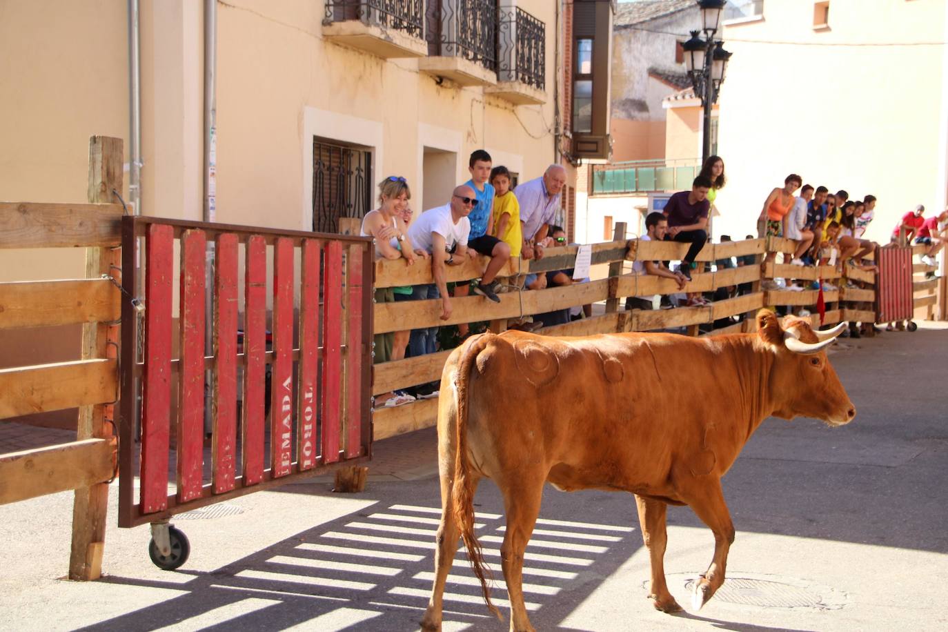 Fotos: Encierro en Torquemada