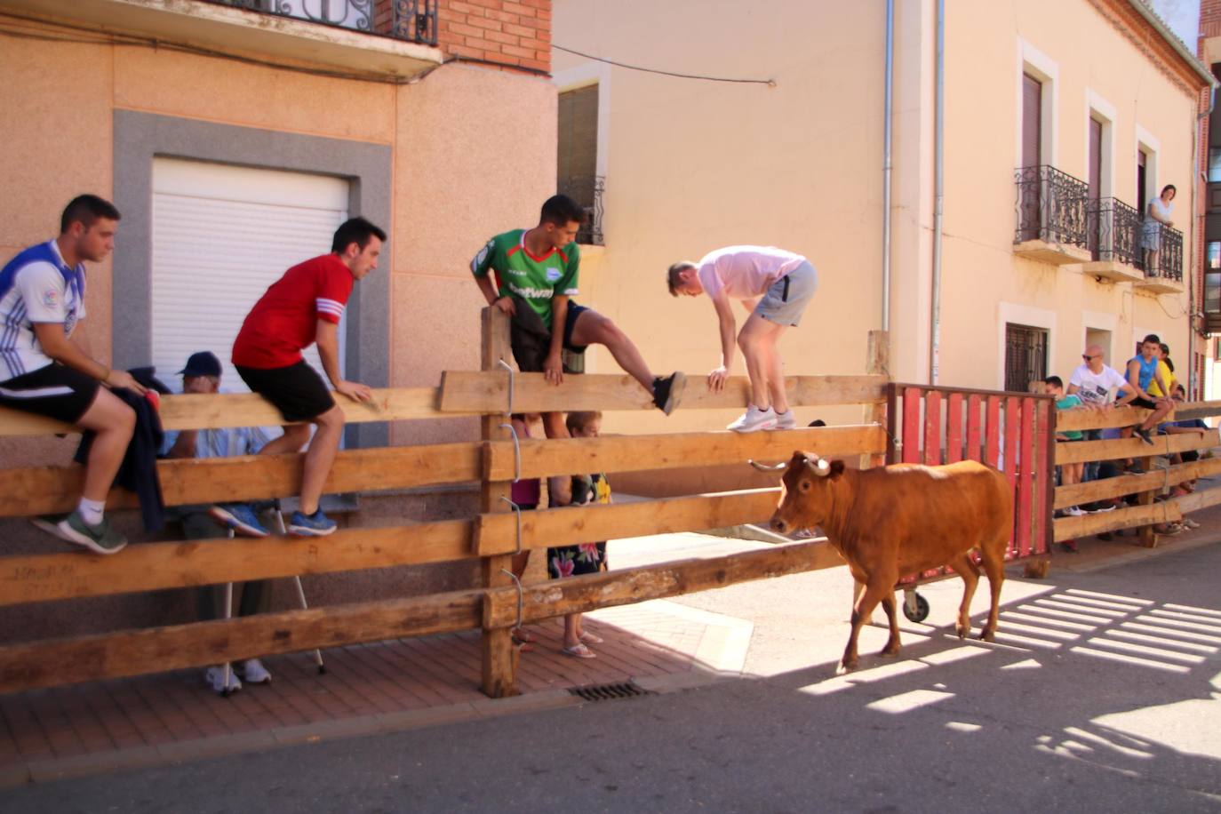 Fotos: Encierro en Torquemada