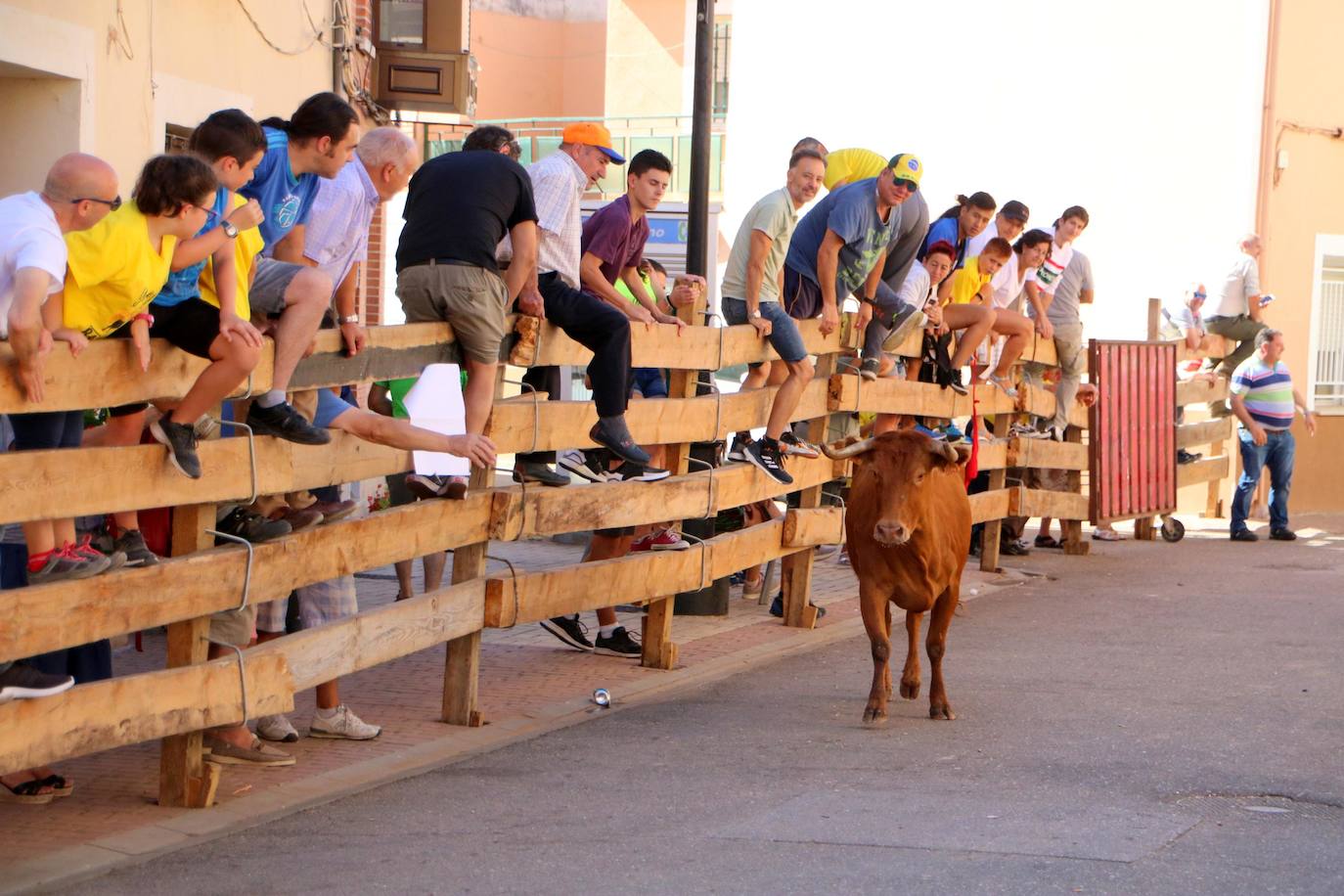 Fotos: Encierro en Torquemada