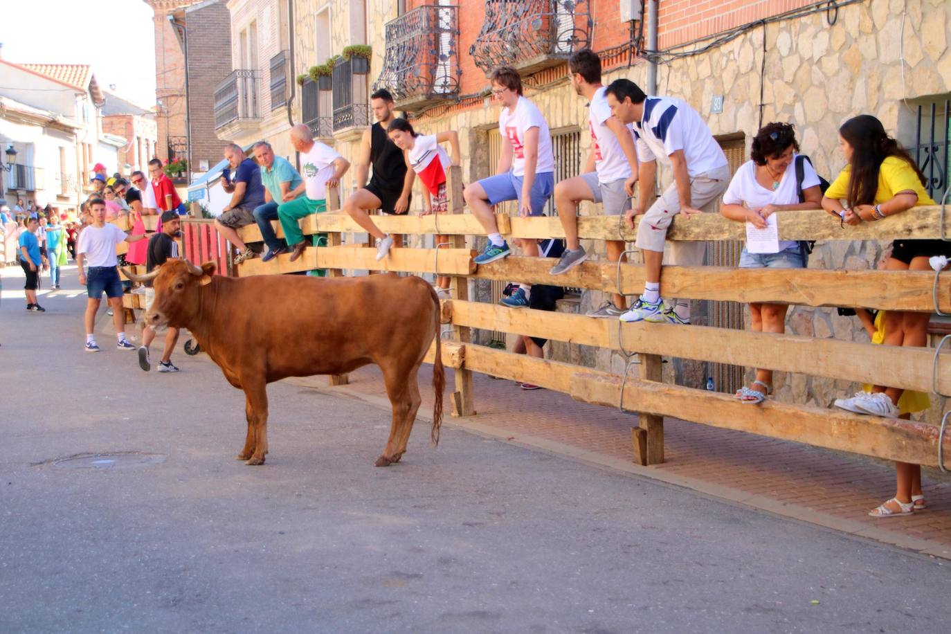Fotos: Encierro en Torquemada