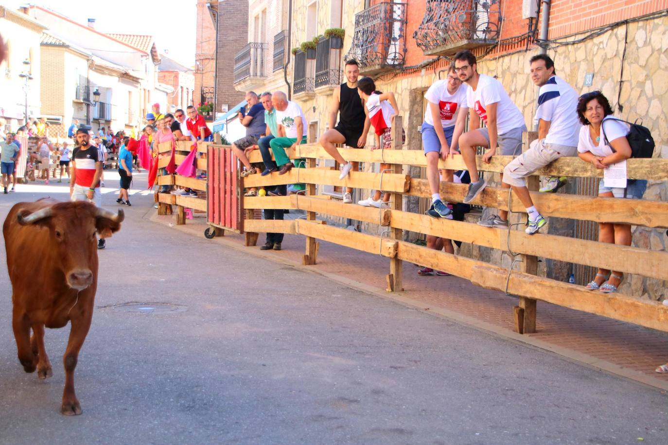 Fotos: Encierro en Torquemada