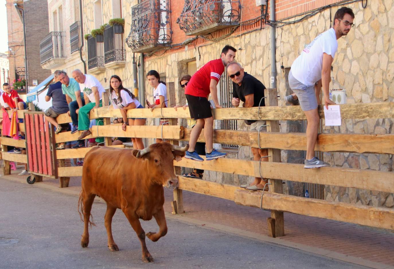 Fotos: Encierro en Torquemada