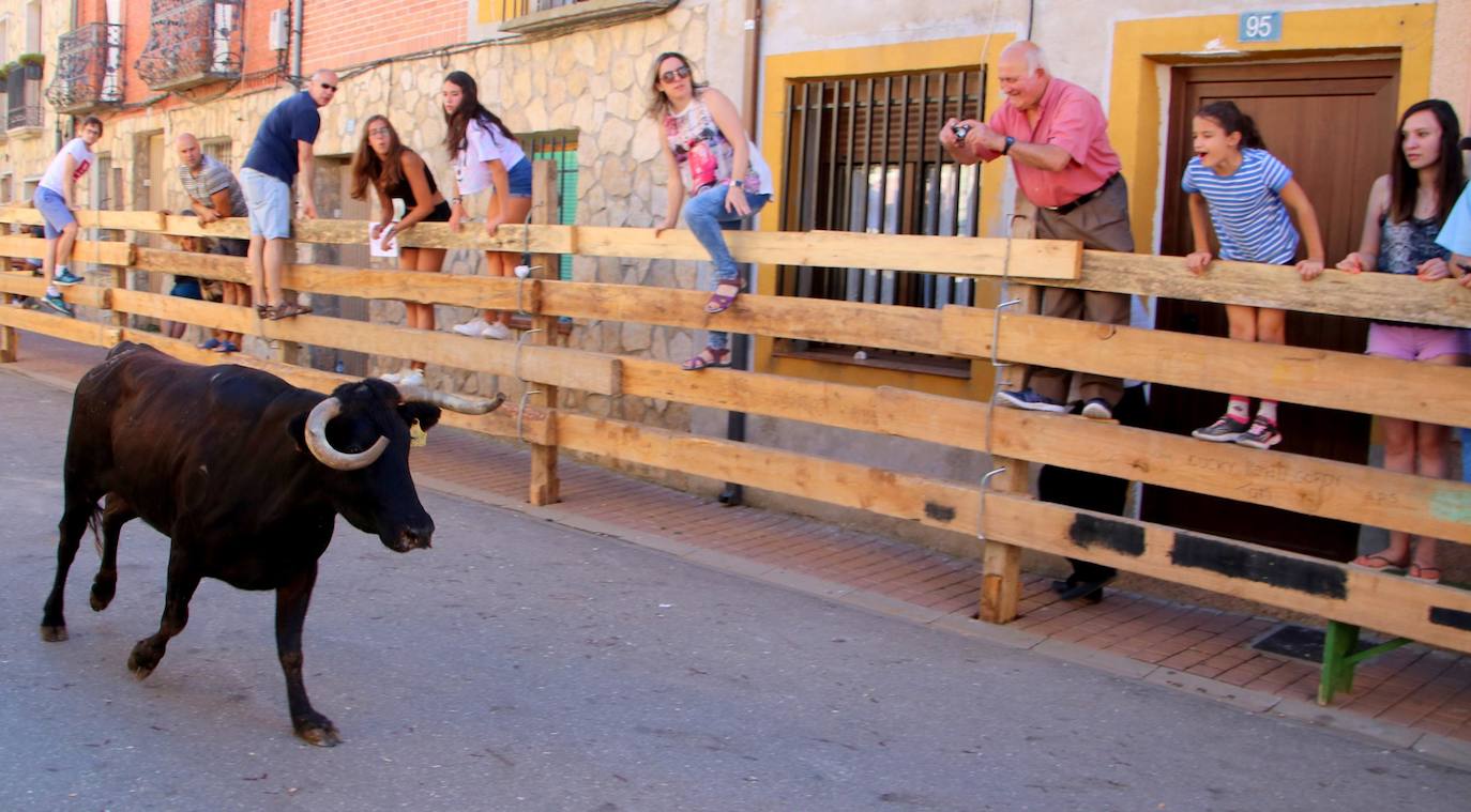 Fotos: Encierro en Torquemada