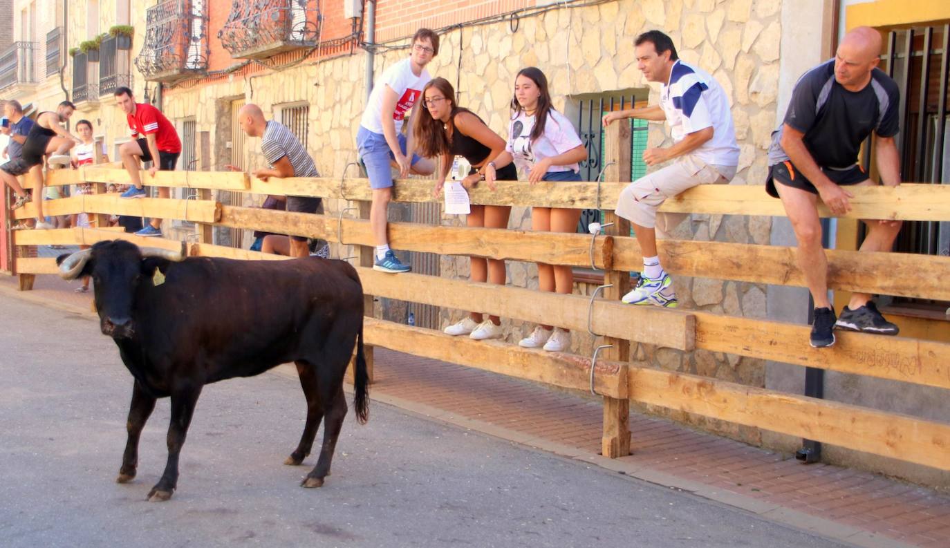 Fotos: Encierro en Torquemada