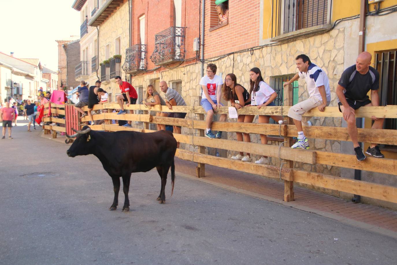 Fotos: Encierro en Torquemada