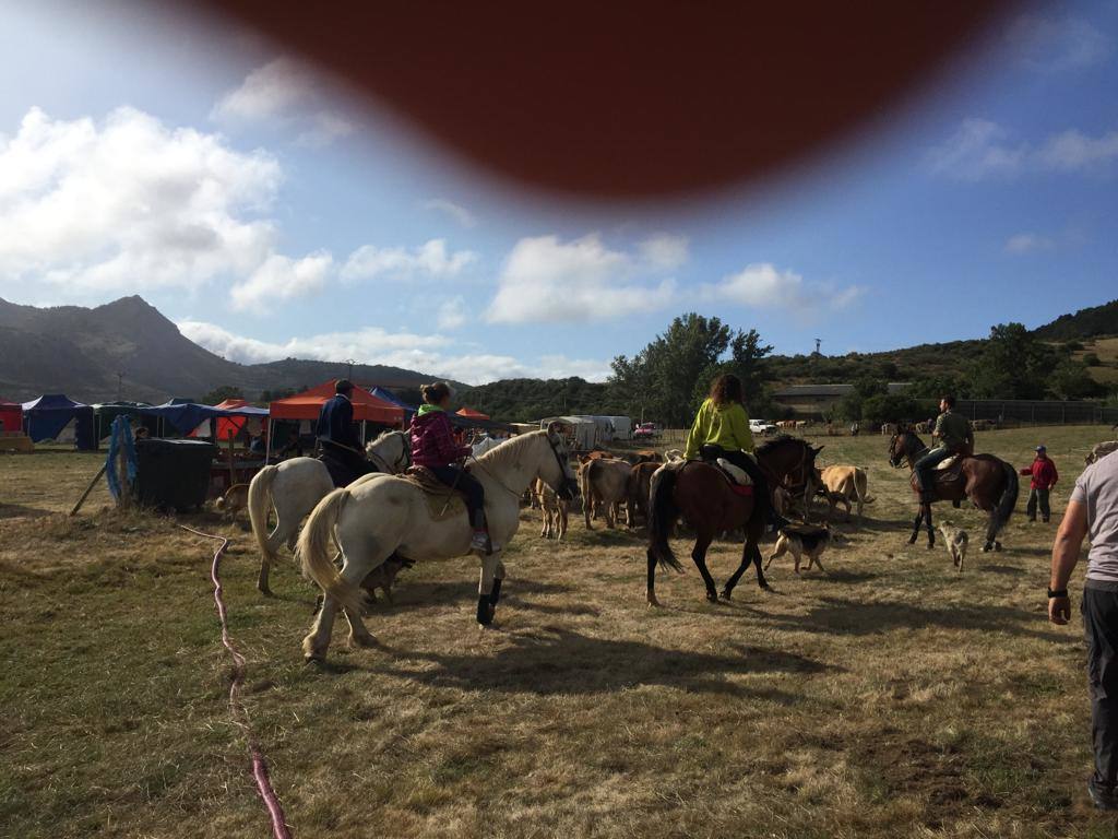 Fotos: Feria de Ganado en San Salvador de Cantamuda