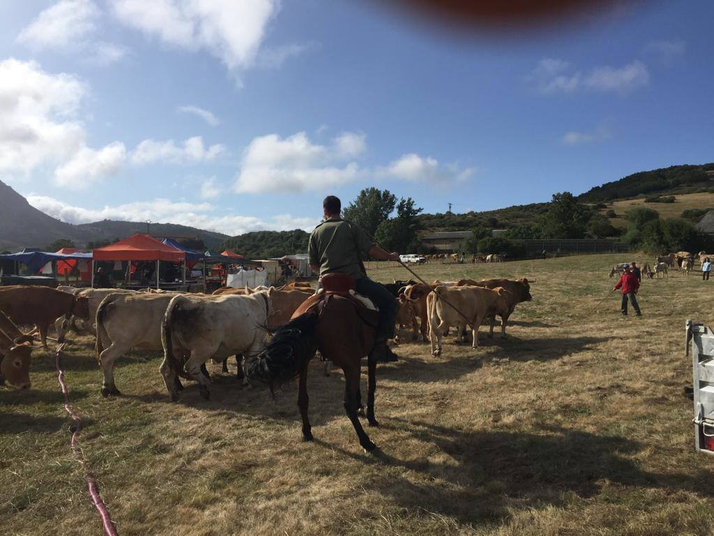 Fotos: Feria de Ganado en San Salvador de Cantamuda