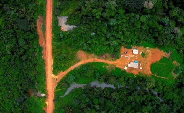 La Amazonía alberga un santuario de biodiversidad único en el mundo.