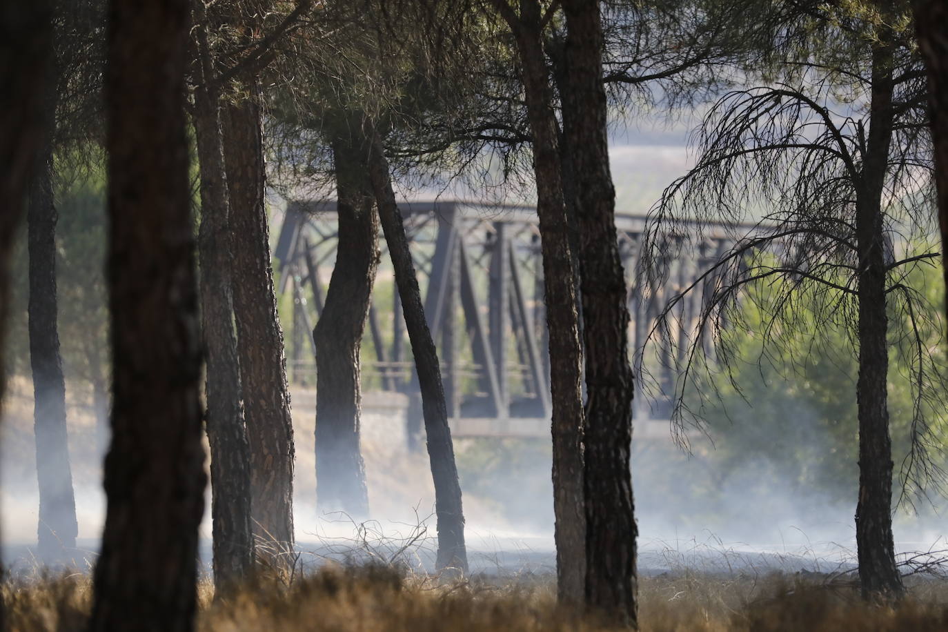 Fotos: Incendio en Bocos de Duero