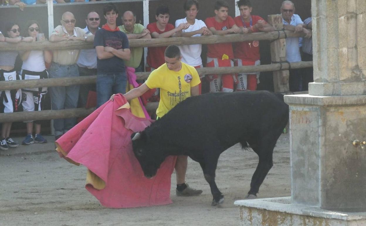 Un joven aficionado da un pase a una vaquilla en la plaza de Sangarcía.