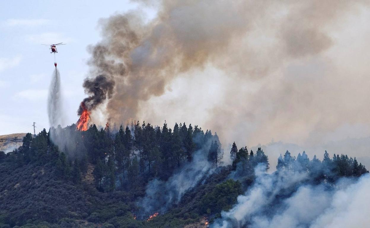 Imagen del incendio de Gran Canaria que ha calcinado10.346 hectáreas esta semana