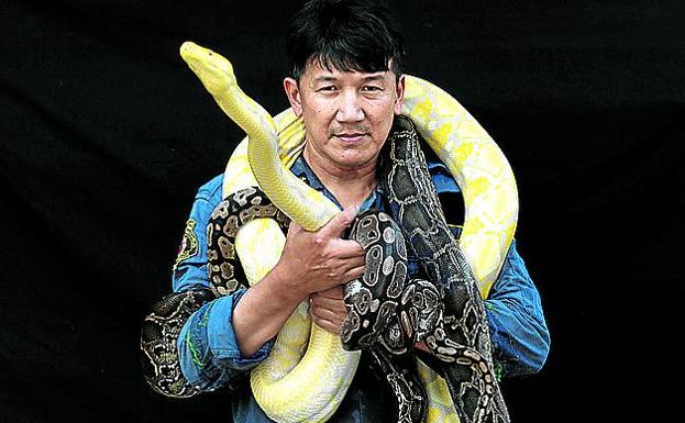 Un tailandés exhibe dos serpientes.