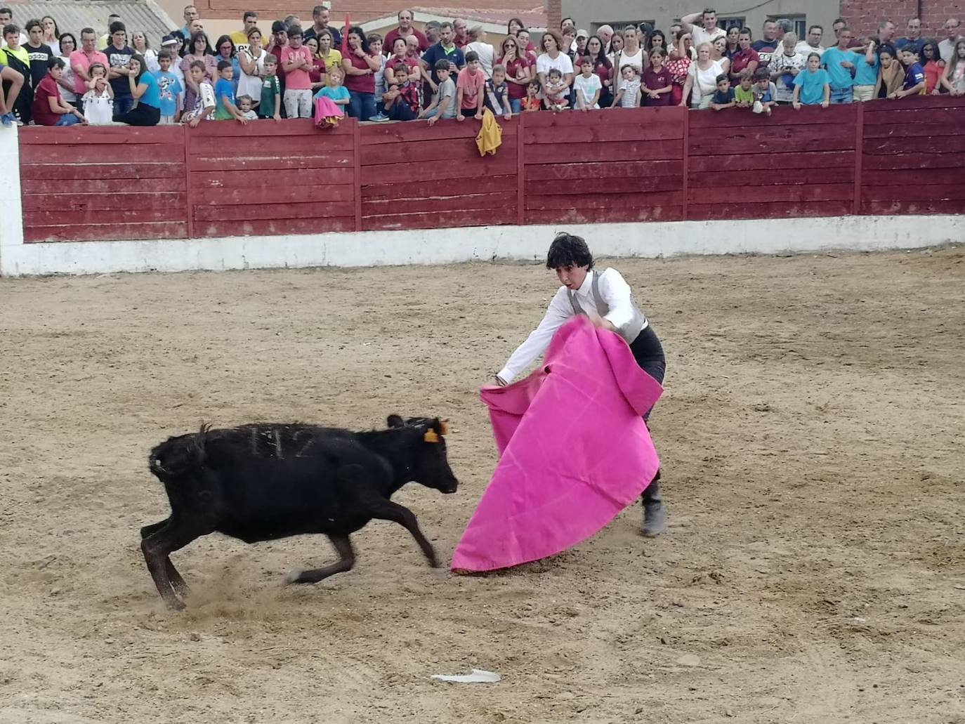 Los alumnos de la Escuela Taurina de Medina de Rioseco hicieron una demostración de su saber hacer en promoción de la tauromaquia