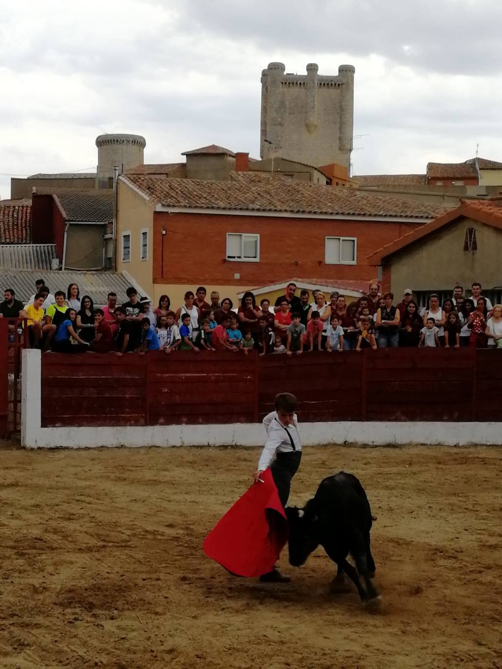 Los alumnos de la Escuela Taurina de Medina de Rioseco hicieron una demostración de su saber hacer en promoción de la tauromaquia