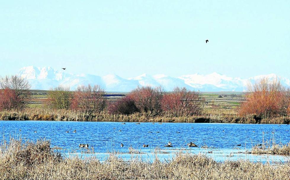 Imagen de archivo de la laguna de Fuentes de Nava. 