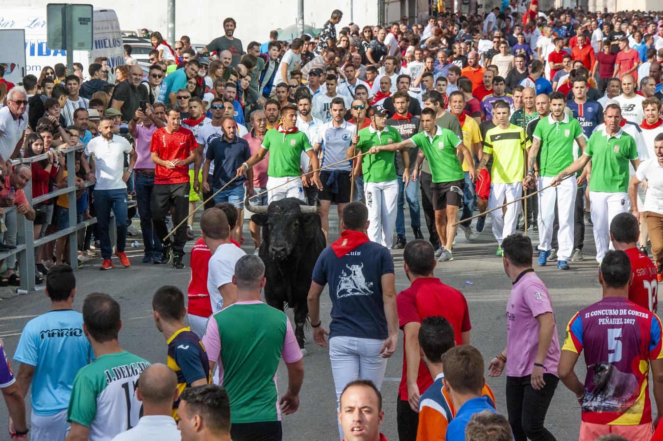 Fotos: Primer encierro de Cuéllar