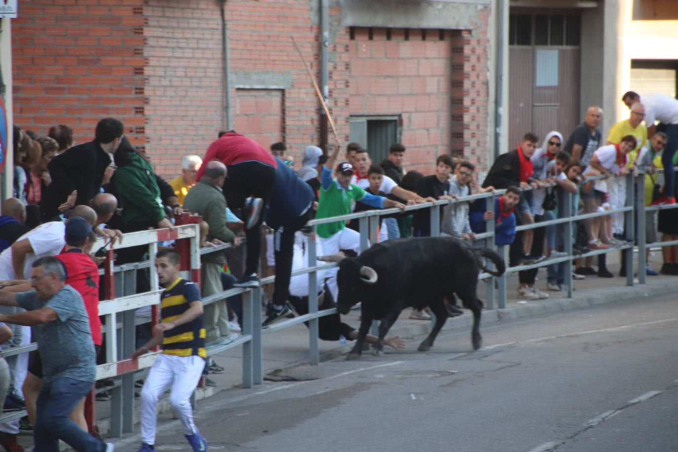 Fotos: Terce encierro en Cuéllar