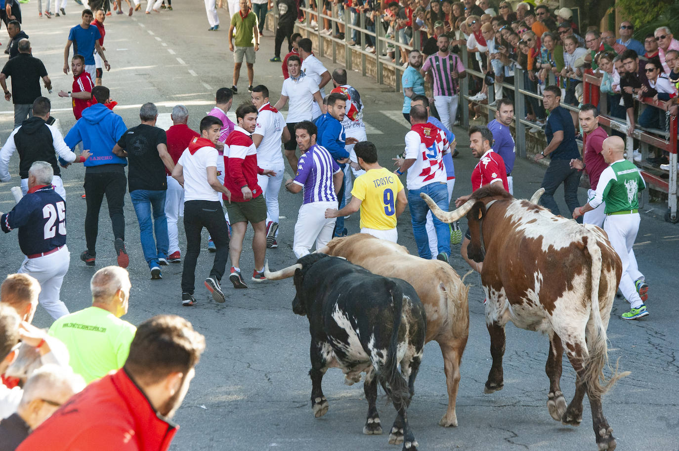 Fotos: Cuarto encierro de Cuéllar