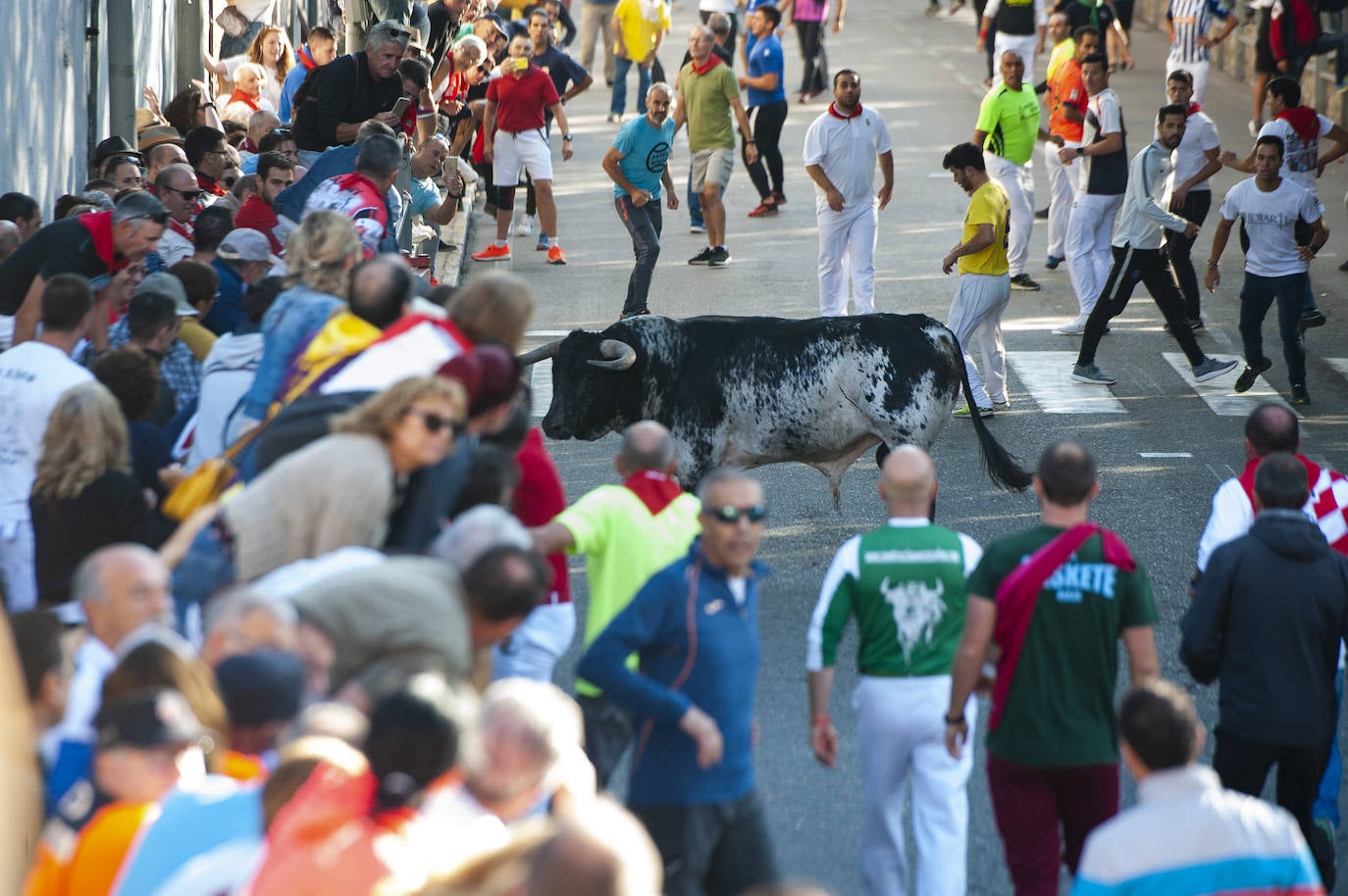 Fotos: Cuarto encierro de Cuéllar