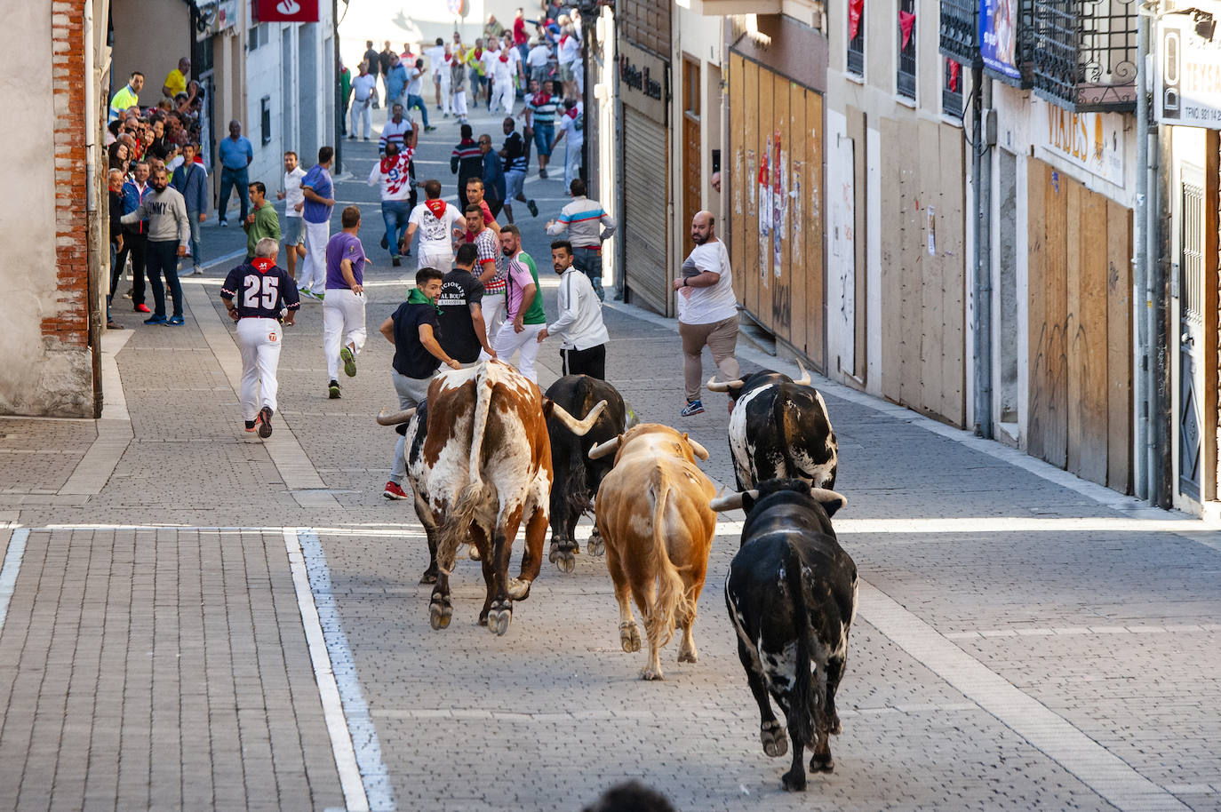 Fotos: Cuarto encierro de Cuéllar
