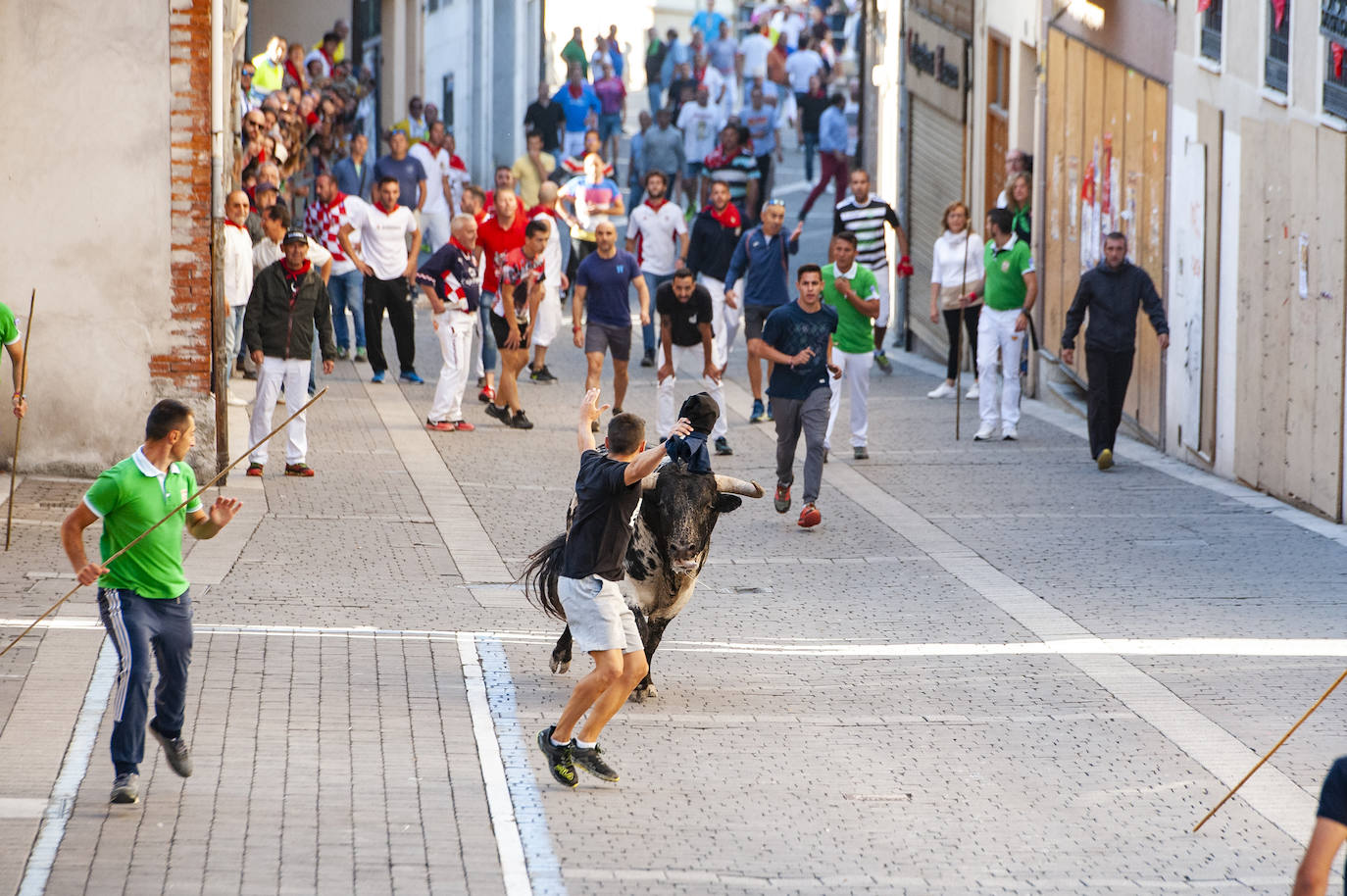 Fotos: Cuarto encierro de Cuéllar