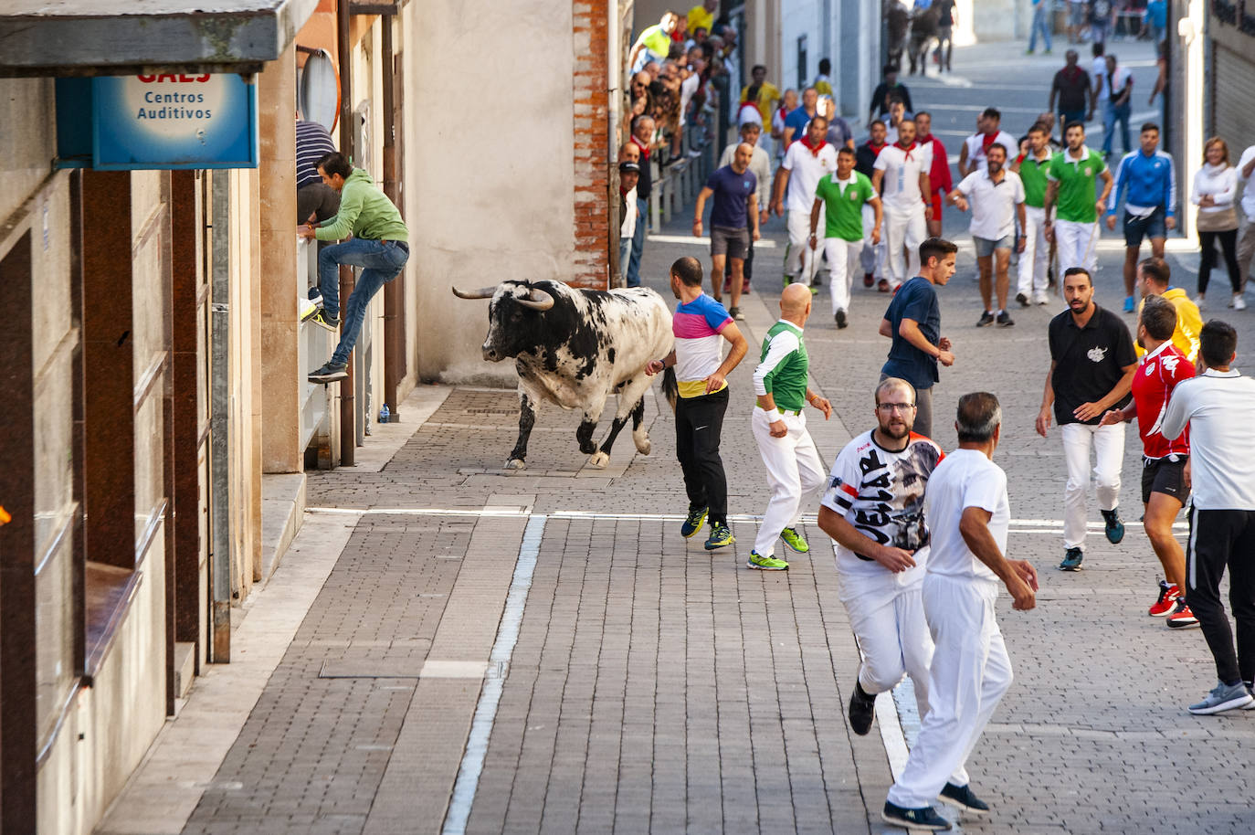 Fotos: Cuarto encierro de Cuéllar