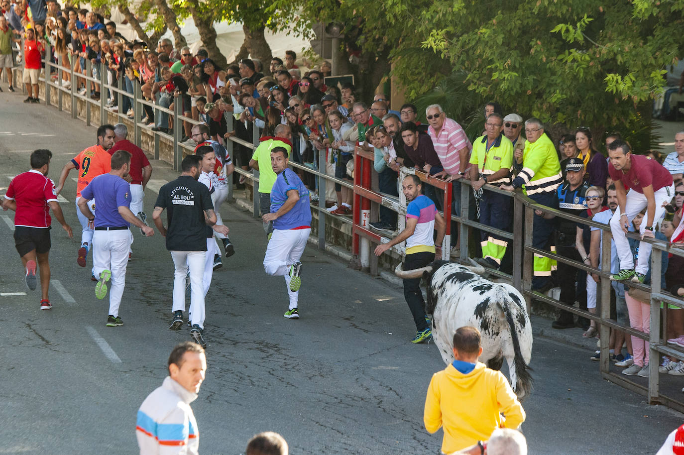 Fotos: Cuarto encierro de Cuéllar