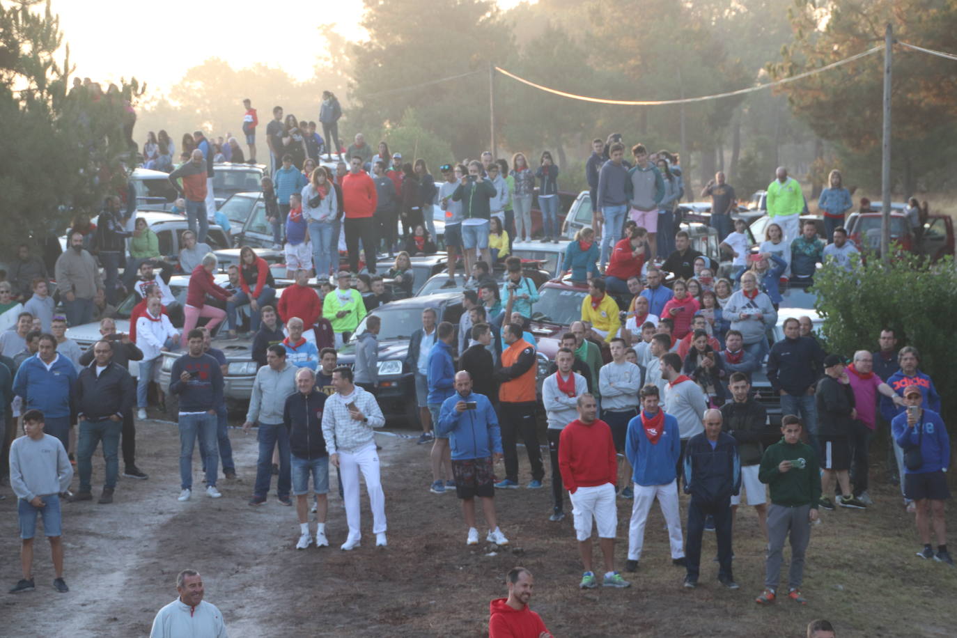Fotos: Cuarto encierro de Cuéllar