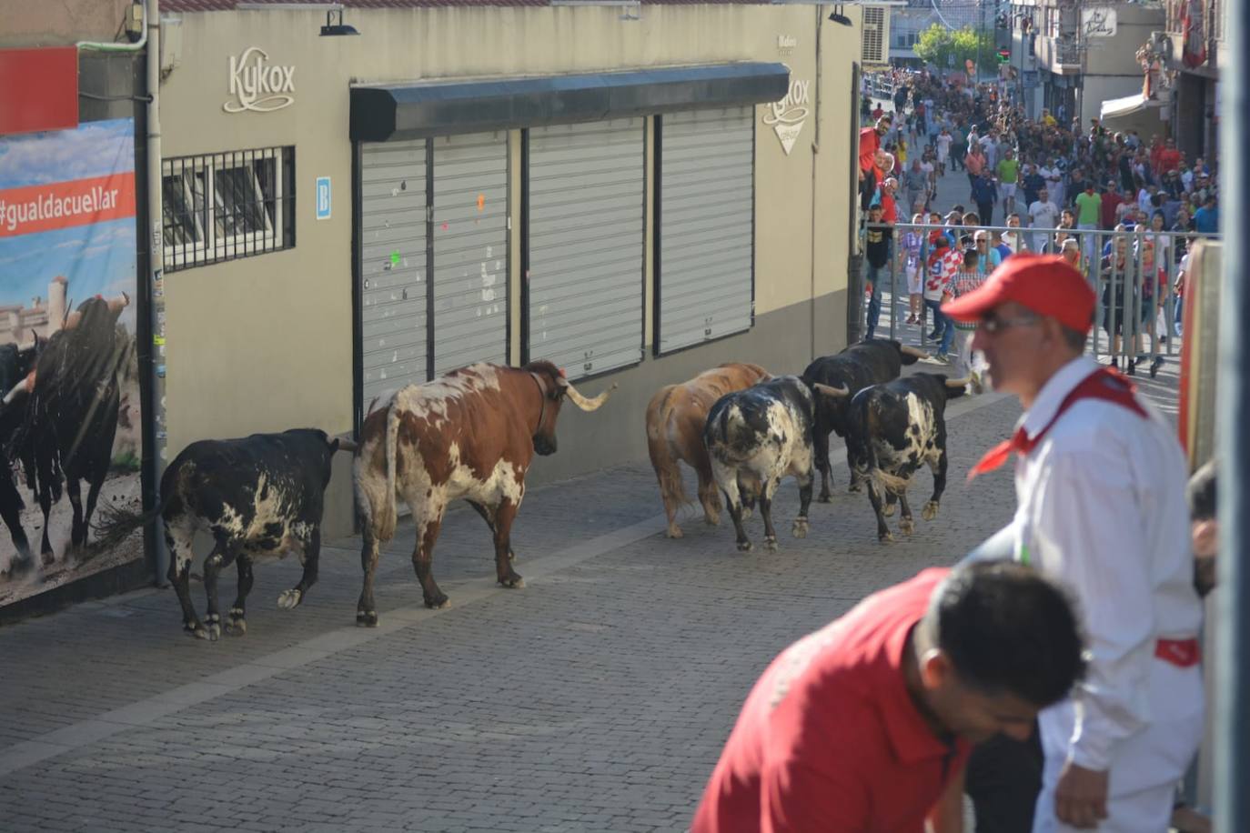 Fotos: Cuarto encierro de Cuéllar