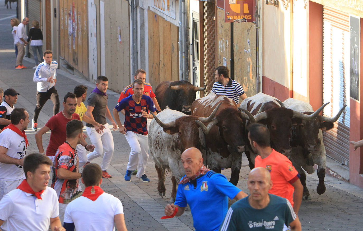 Fotos: Quinto encierro de las Fiestas de Cuéllar